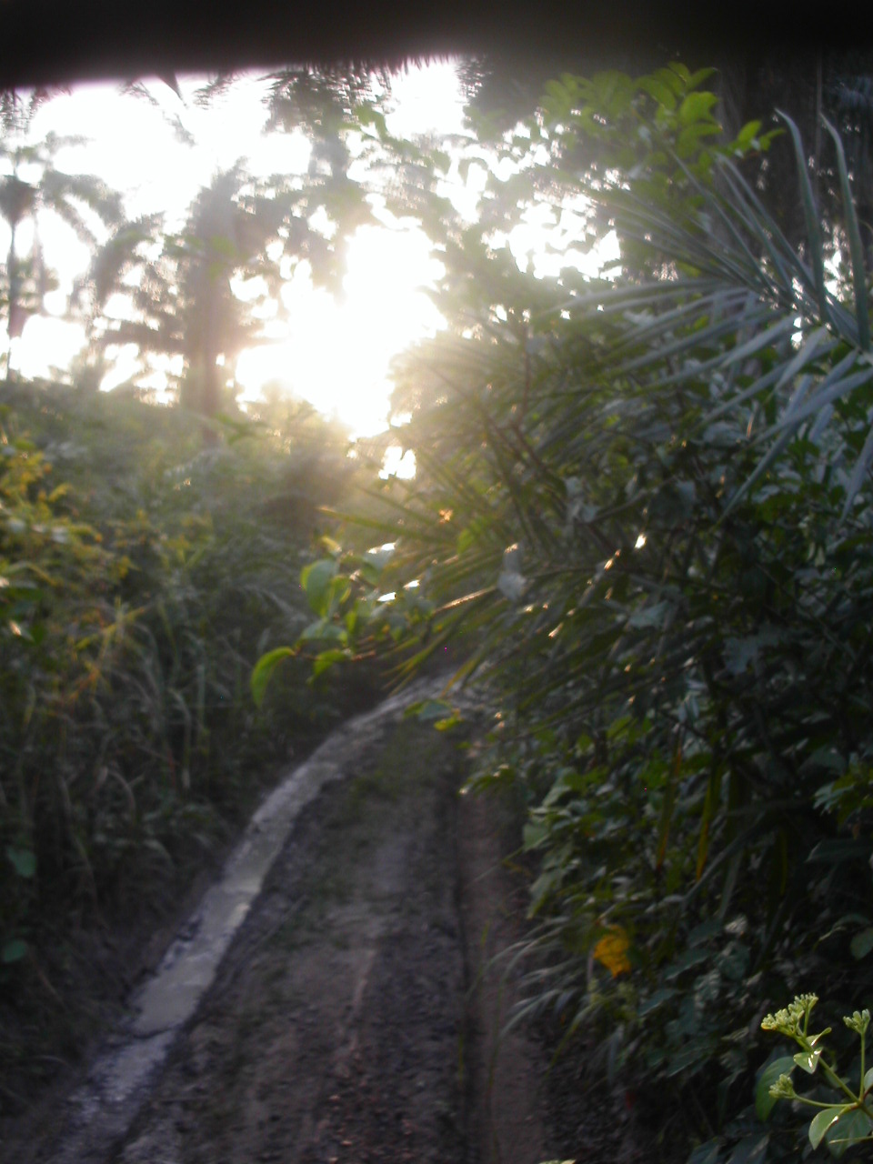 [PICT2629.JPG]