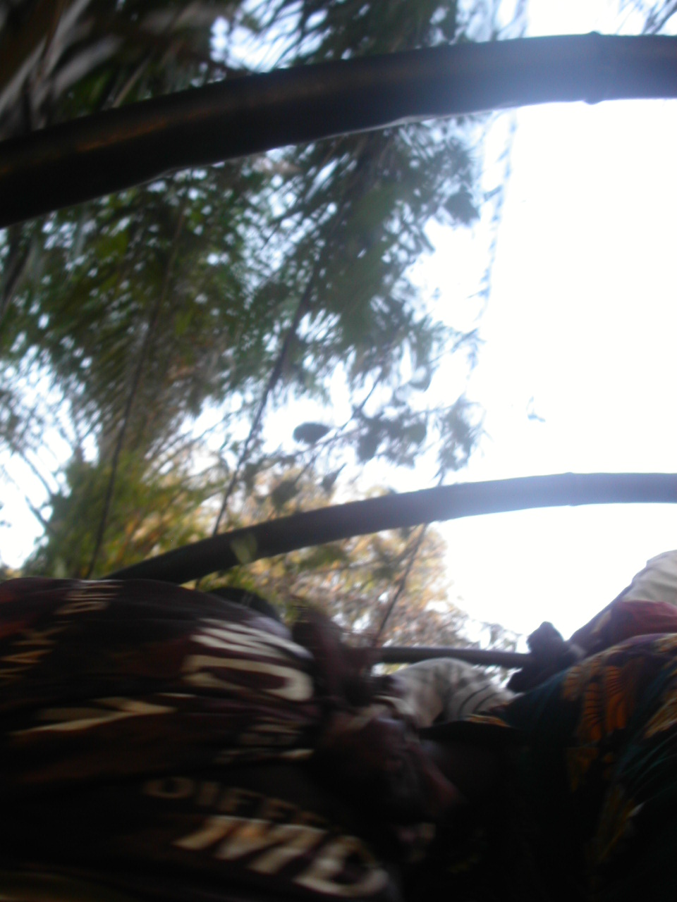 [PICT2630.JPG]