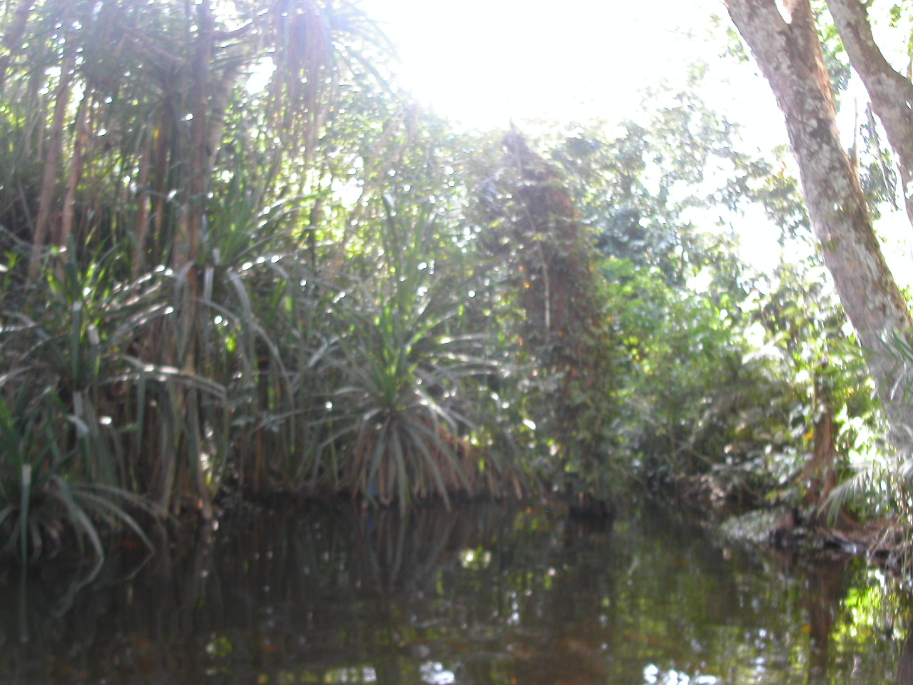 [PICT2643.JPG]