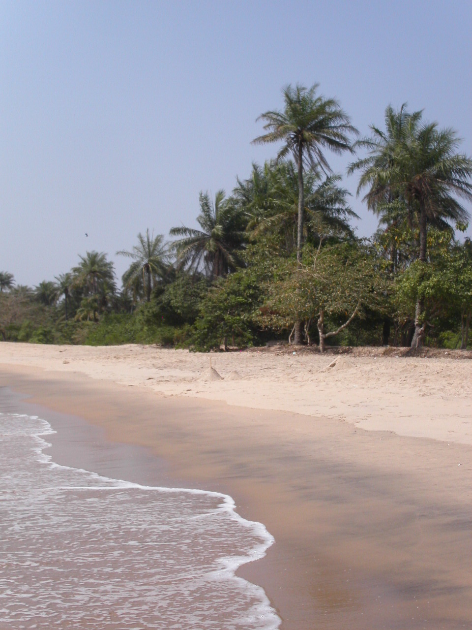 [PICT2650.JPG]