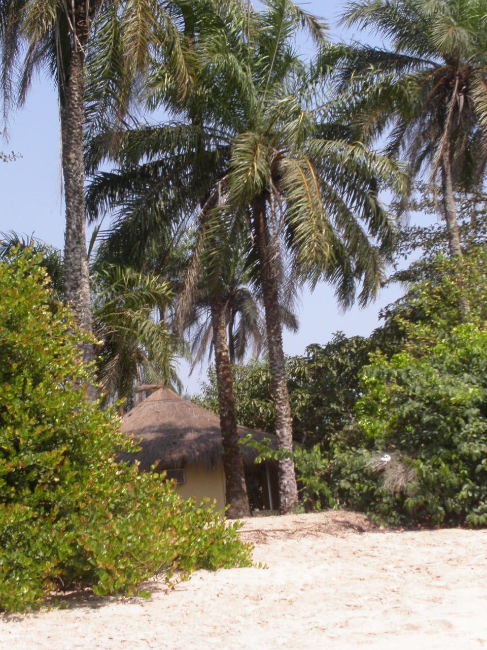 [PICT2652.JPG]
