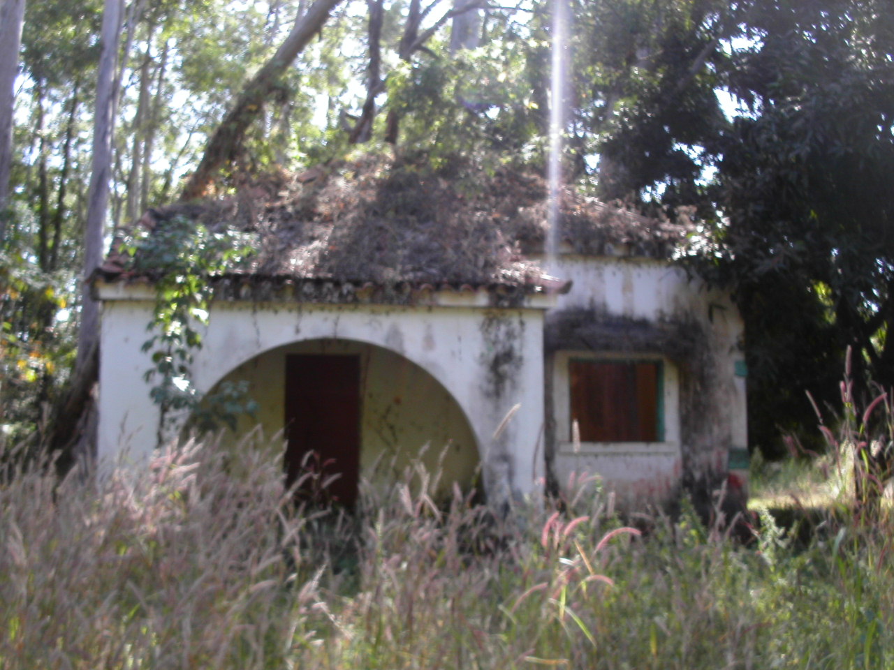 [PICT2455.JPG]