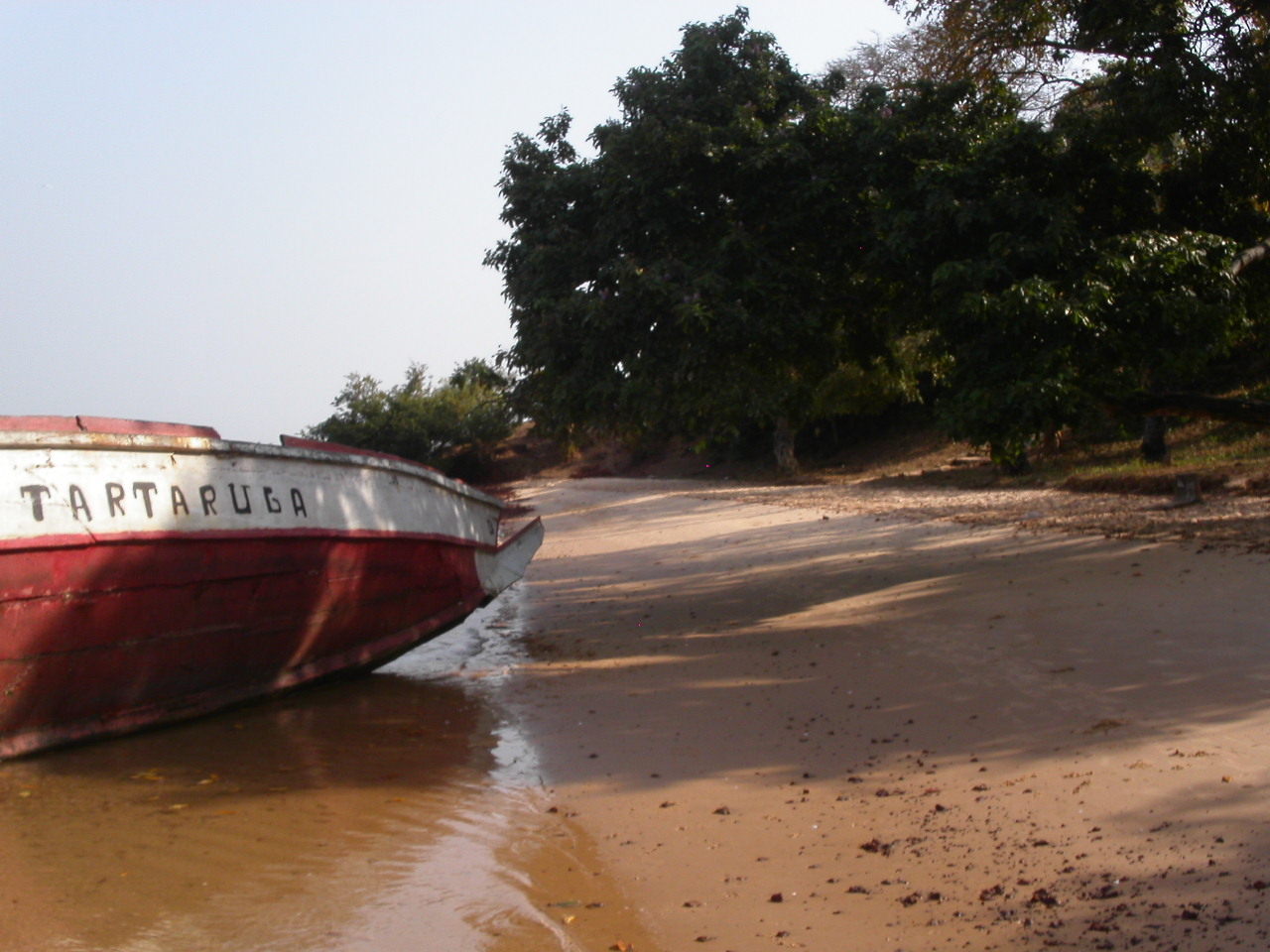 [PICT2562.JPG]