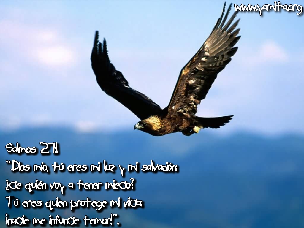 http://4.bp.blogspot.com/_V8d23rvX1wg/TIhNjGAaxnI/AAAAAAAAAek/nFLZiVp40PI/s1600/Dios+m%25C3%25ADo%252C+t%25C3%25BA+eres+mi+luz+y+mi+salvaci%25C3%25B3n.jpg