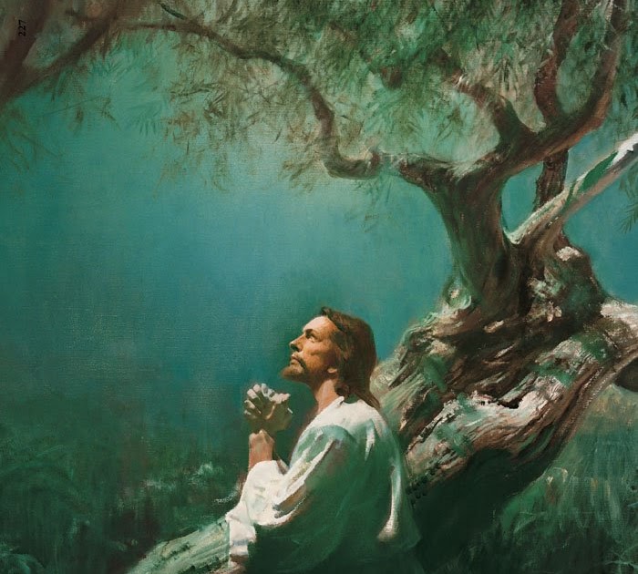 ¿Realmente ha leído el Libro de Mormón? 32a Jesucristo es el Salvador