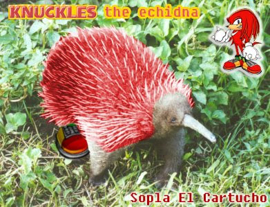 real knuckles