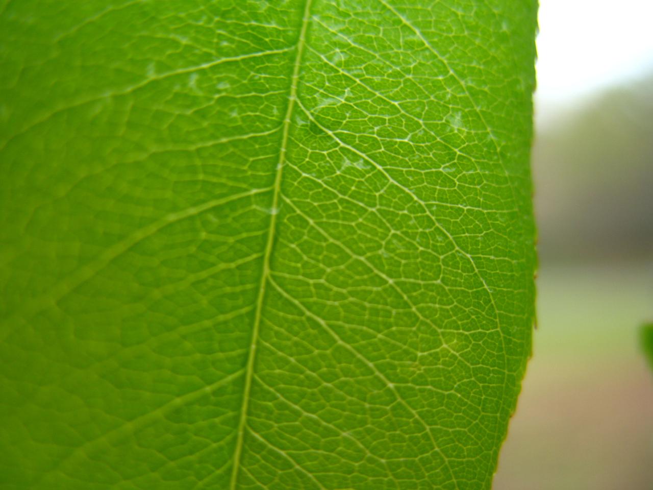 [IMG_7052.JPG]