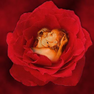 Amor