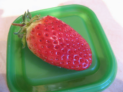 first strawberry