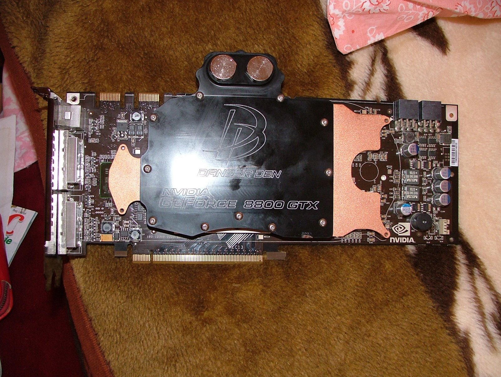 [DSCF4137.JPG]