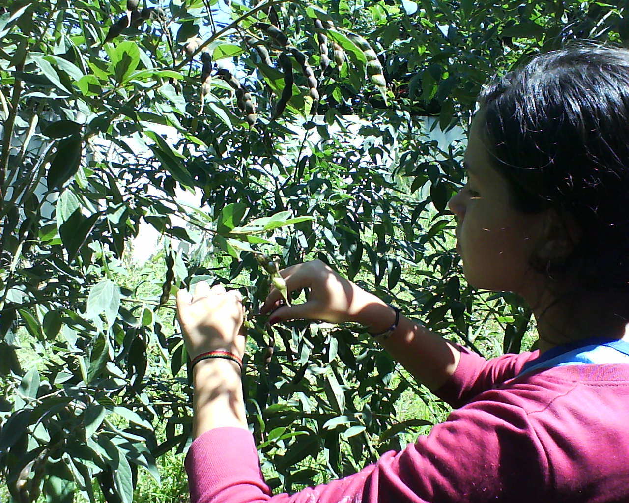 [DSC00094.JPG]