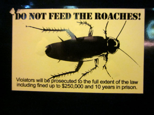 also, don't smoke this roach
