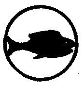 Angling Merit Badge