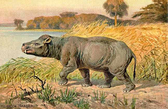 [Coryphodon.jpg]