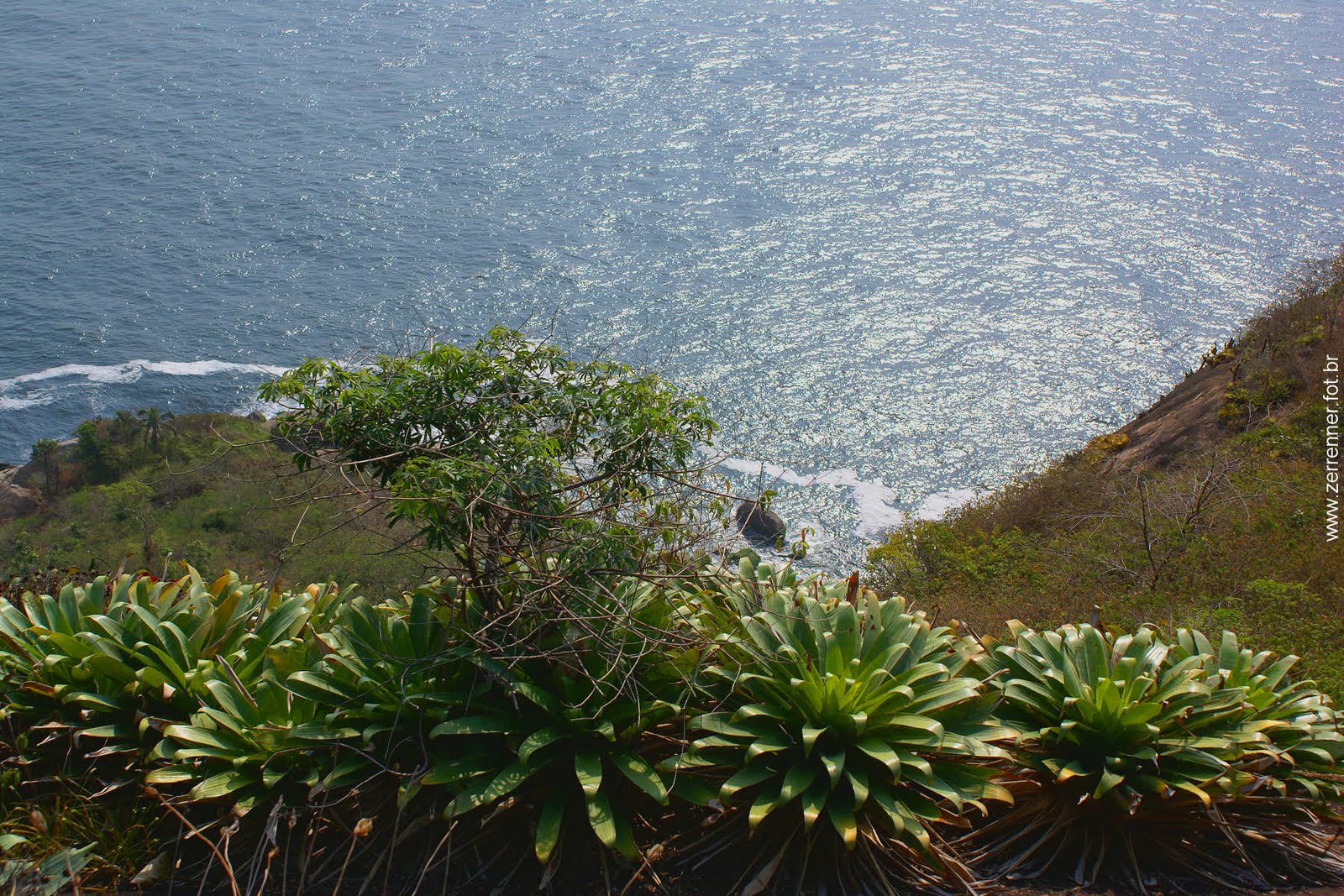 [RIO_694.jpg]