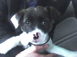 My Milo!!