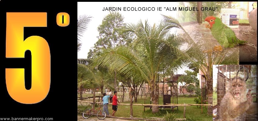 JARDIN ECOLOGICO DE LA IE MIGUEL GRAU