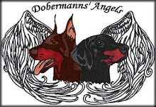 Dobermanns Angel