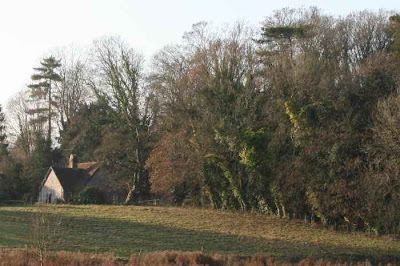 cottage in trees