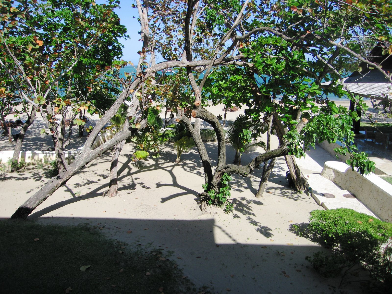 [IMG_5876.JPG]