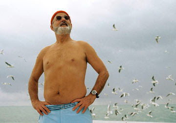 Bill Murray in The Life Aquatic with Steve Zissou by Wes Anderson 