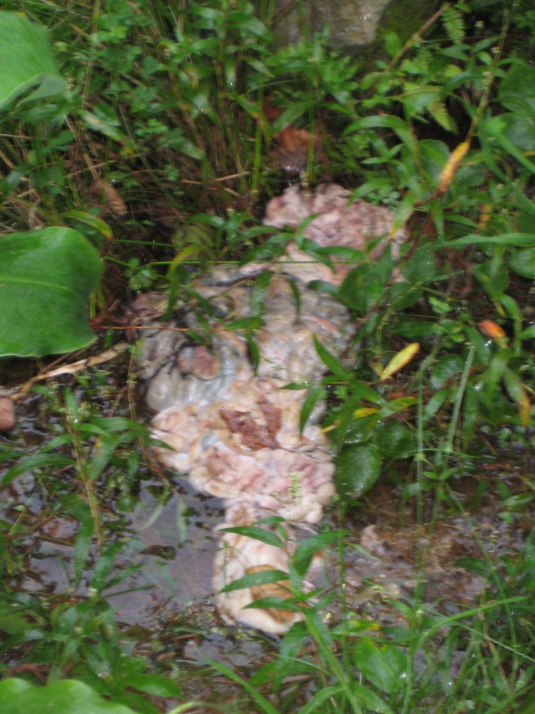 [IMG_4627.JPG]