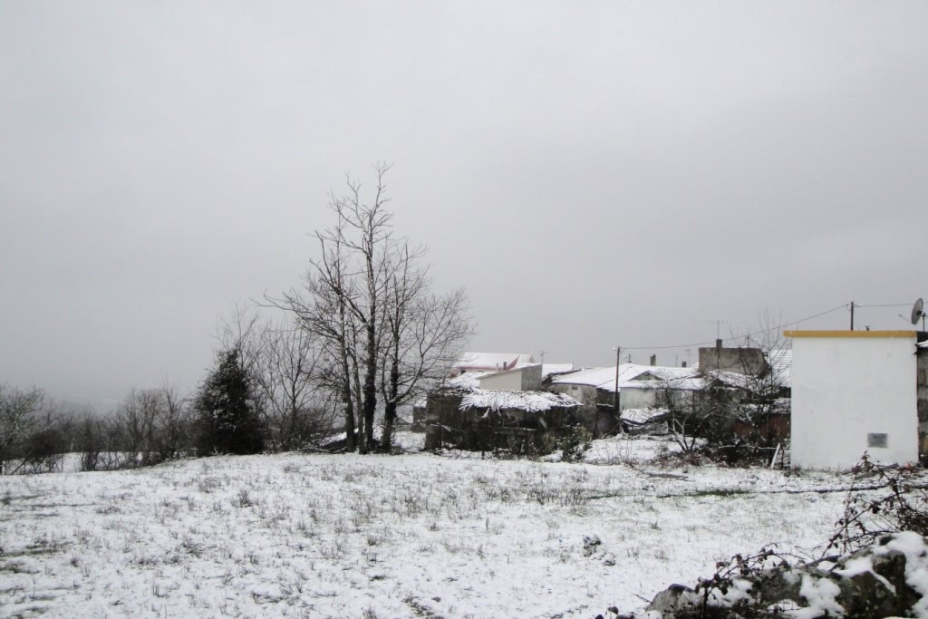[DSC00744.JPG]