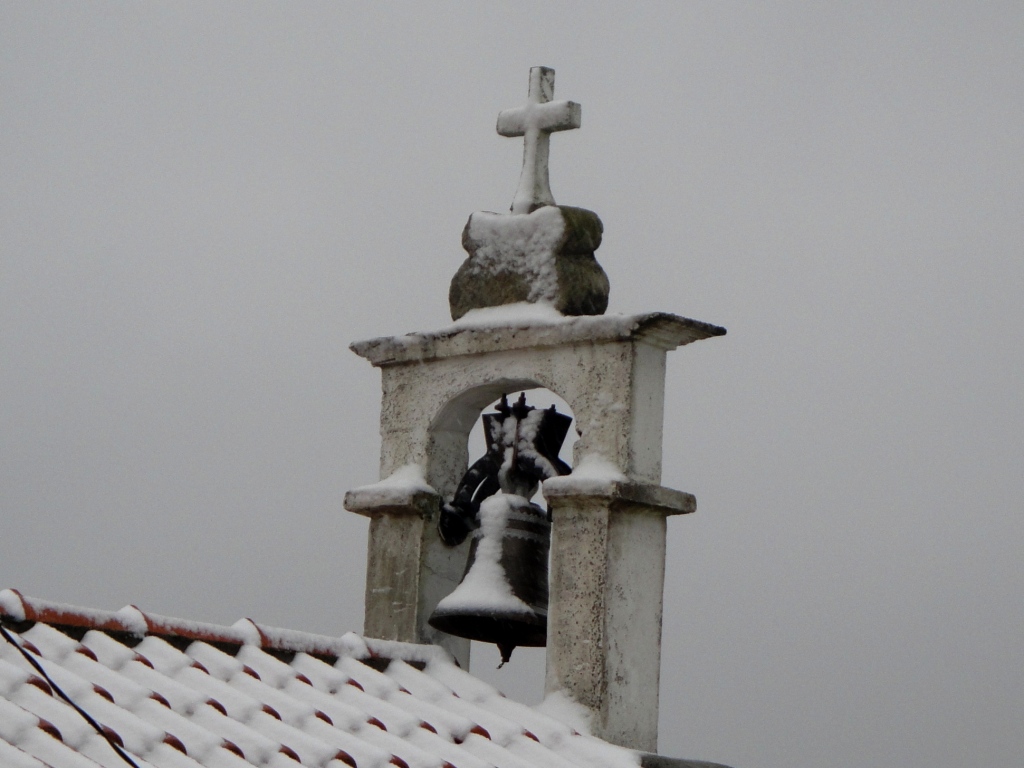 [DSC00743a.jpg]