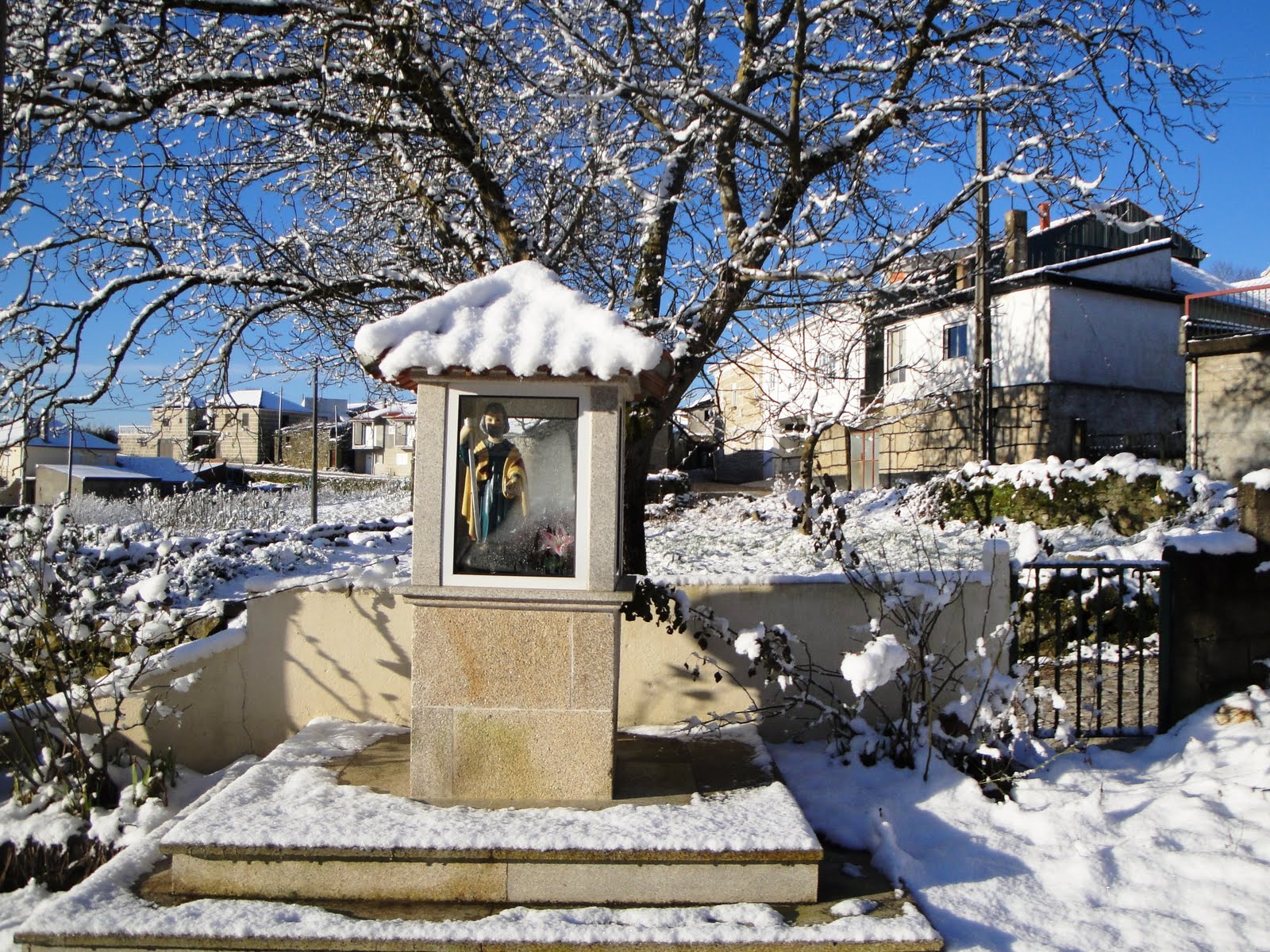 [DSC00897.JPG]