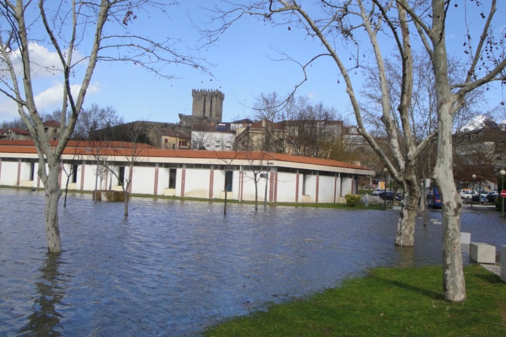 [DSC01747.JPG]