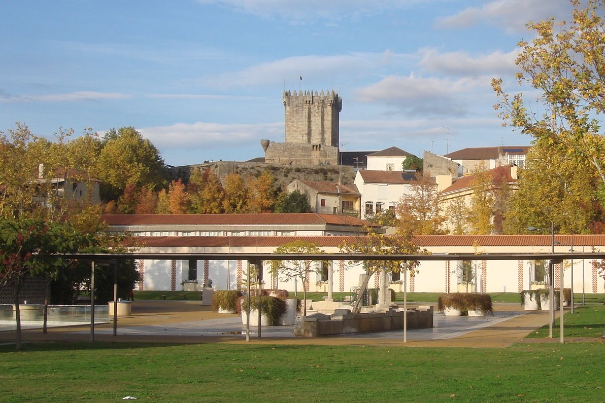 [DSC06244a.jpg]