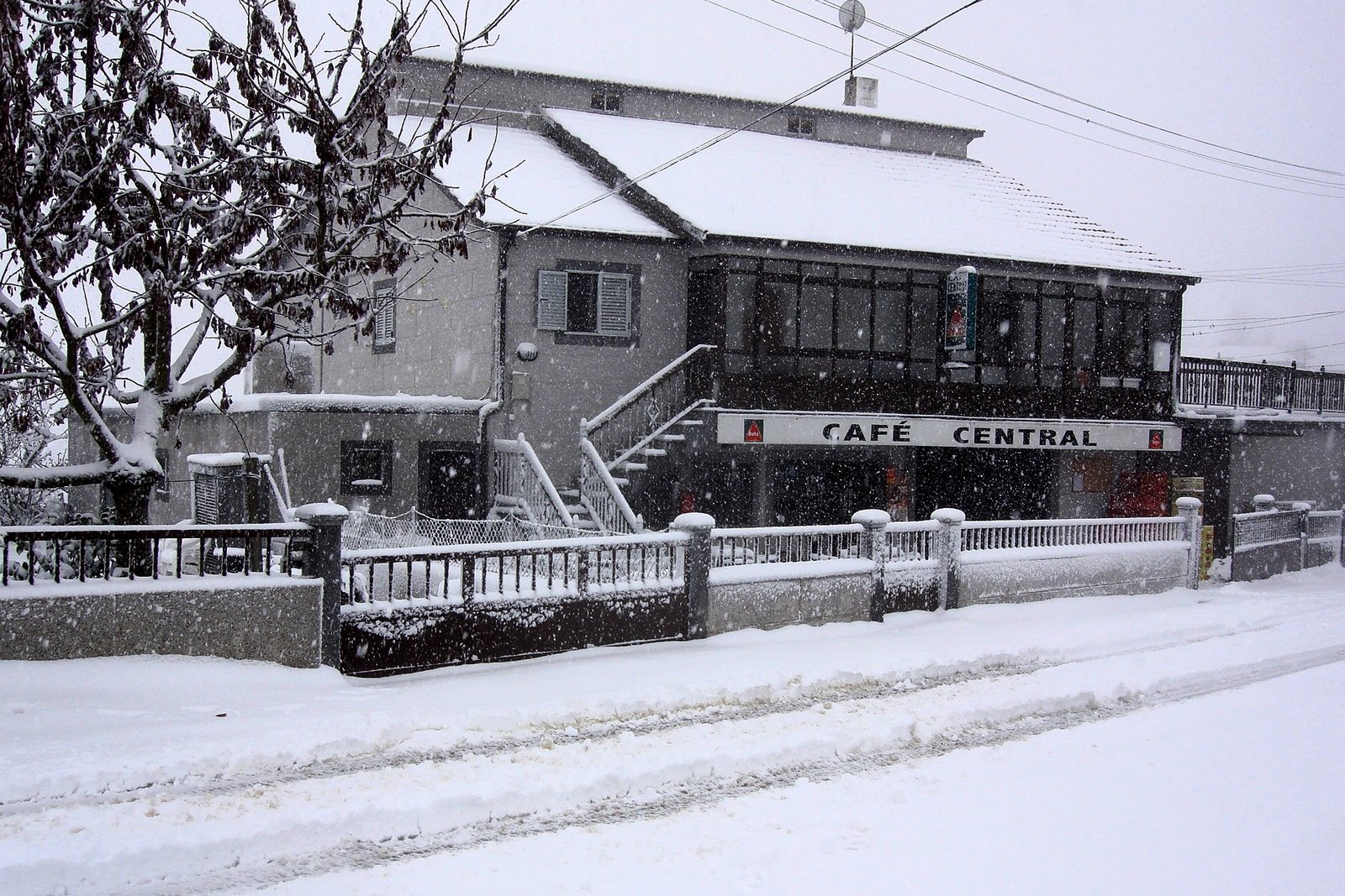 [DSC07165.JPG]