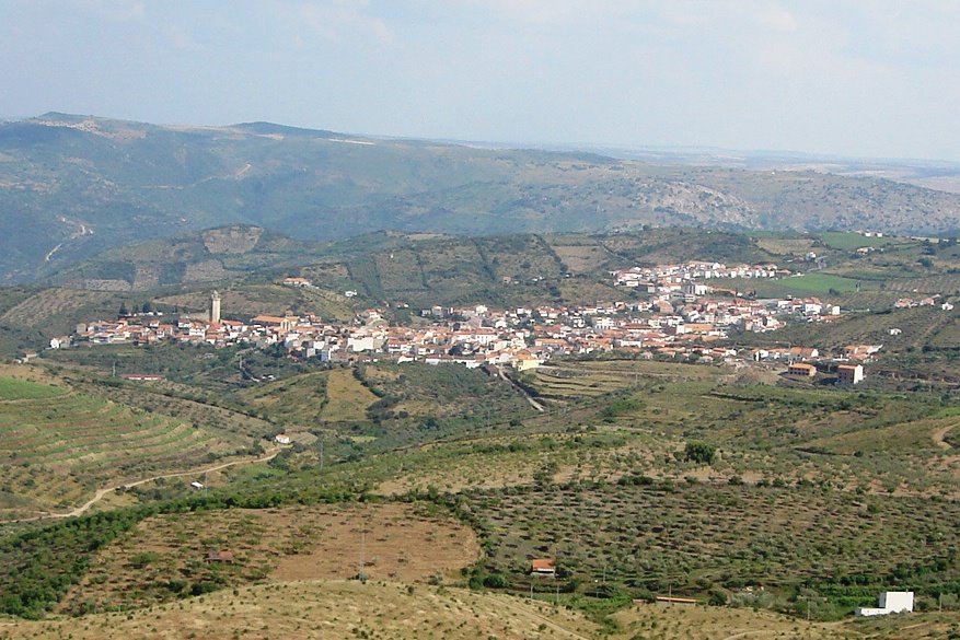 [DSC09164aa.jpg]