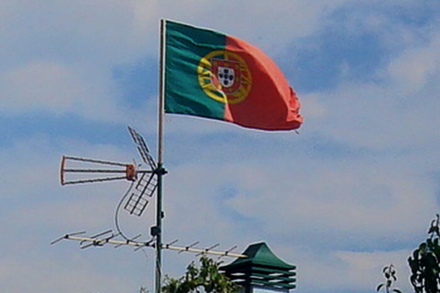 [DSC01334.JPG]