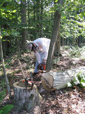 manual hydraulic log-splitter