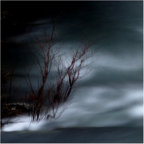 [DrGicaIMG_1390-a-1-blog.jpg]