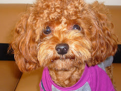 Jade 1.8 Yrs Old