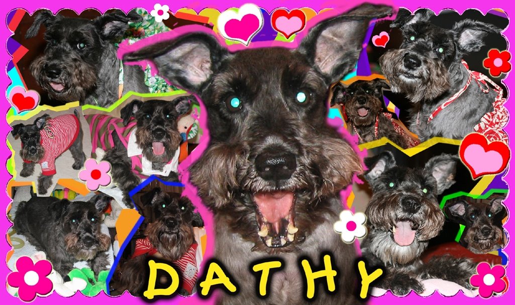 [Dathy+FINAL.JPG]