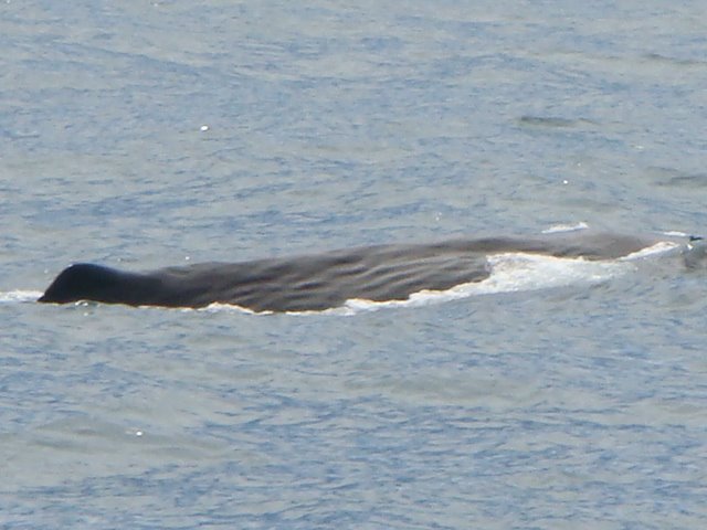 [DSC05267.JPG]