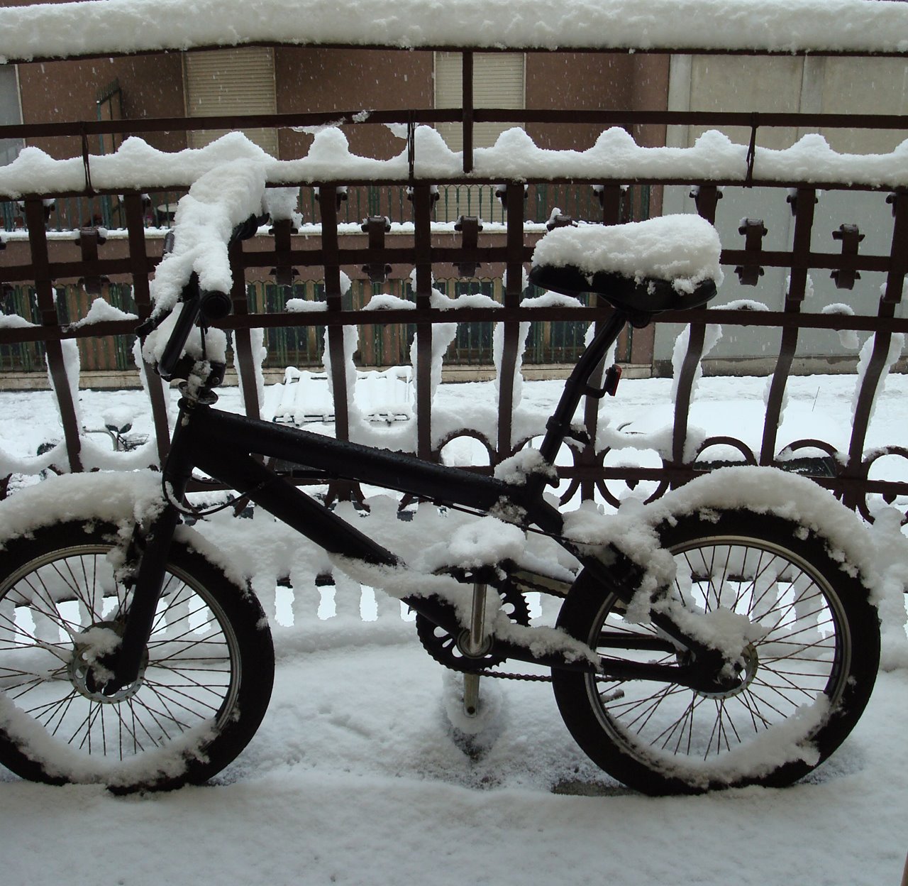 [DSC08207.JPG]