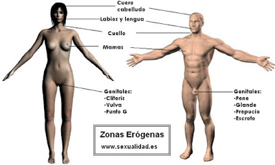 ZONA EROGENAS DEL HOMBRE zona erogenas del hombre:
