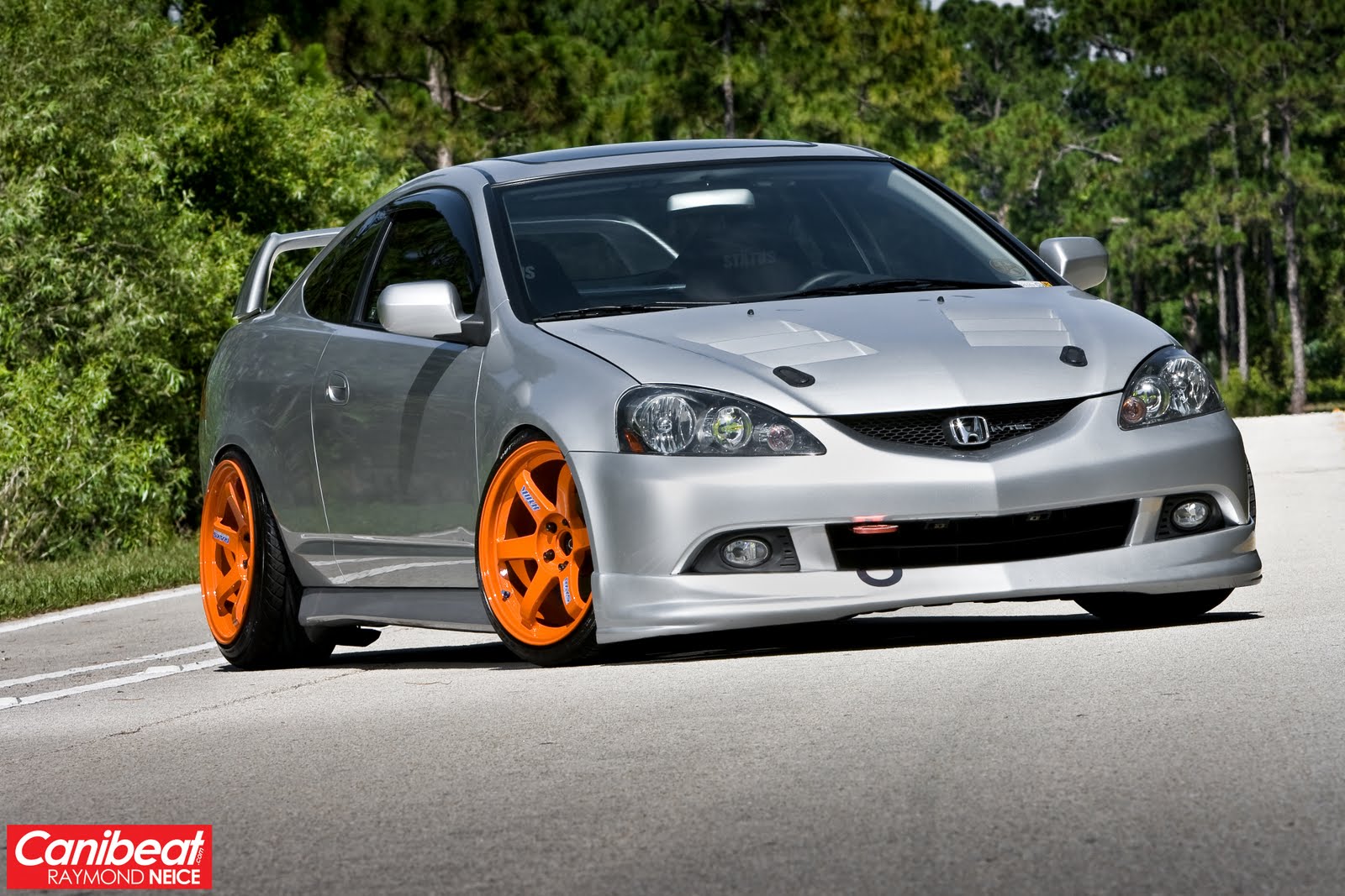 Canibeat Cars