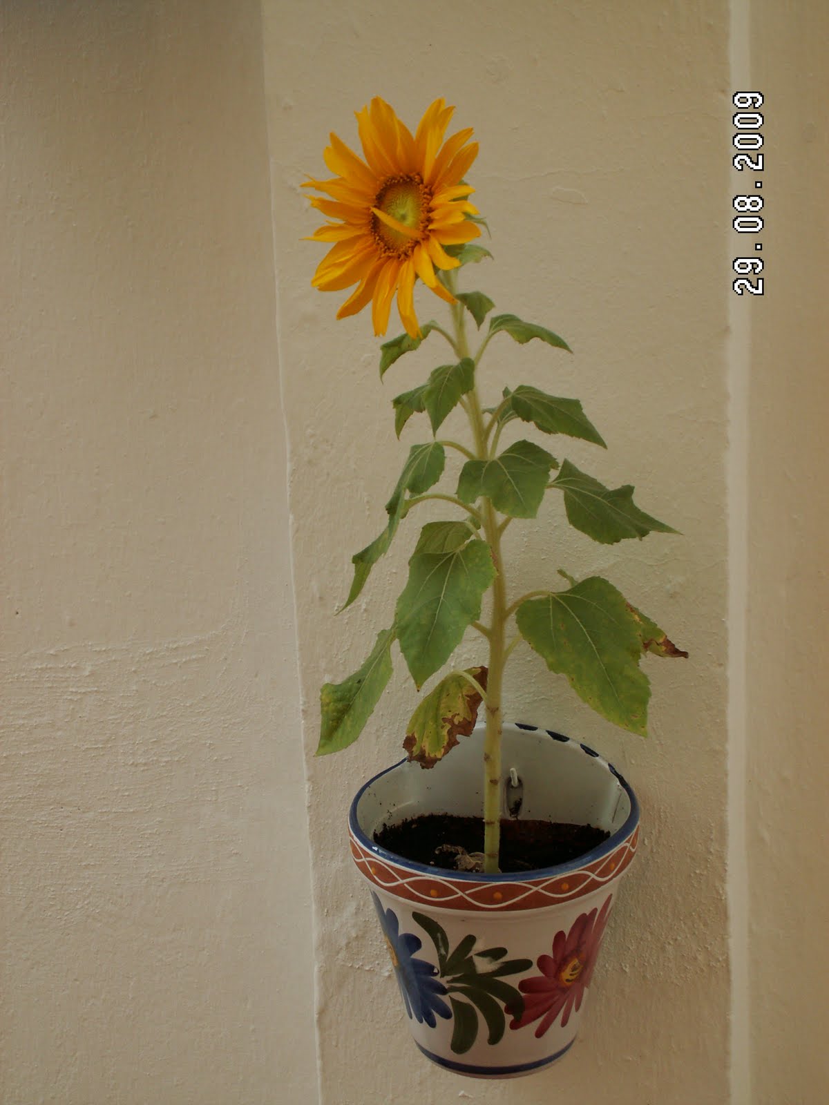 [PICT0273.JPG]
