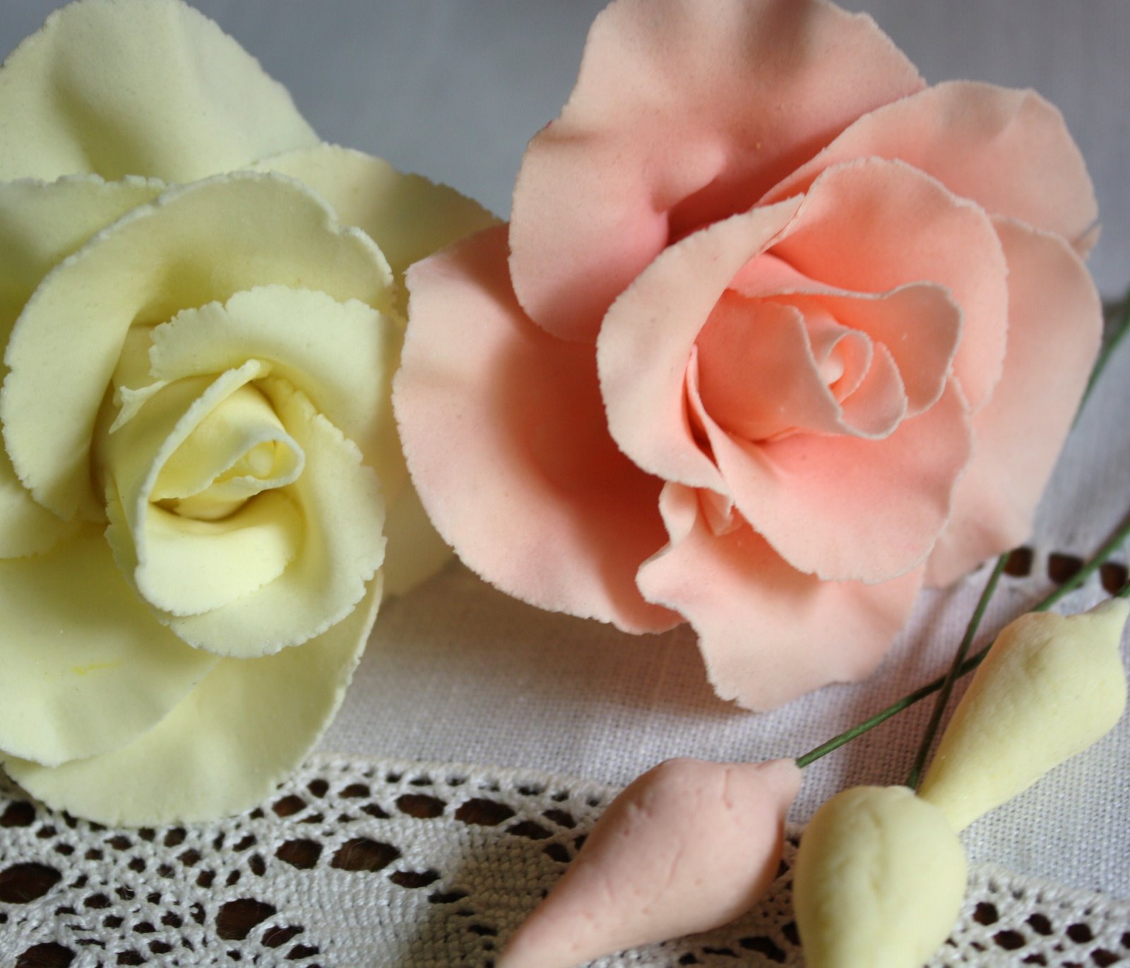 [IMG_5809+-+Copy.JPG]