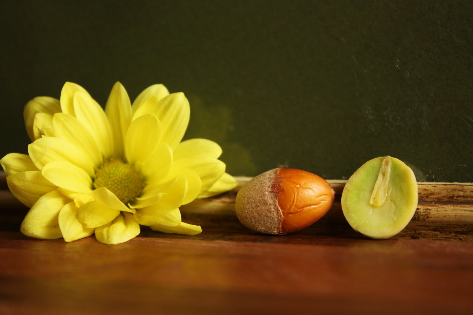 [IMG_0448_2.JPG]