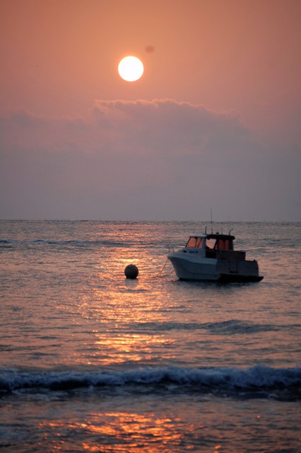 [DSC_00343126.JPG]