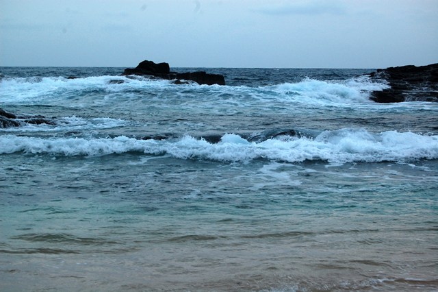[DSC_035234424442.JPG]