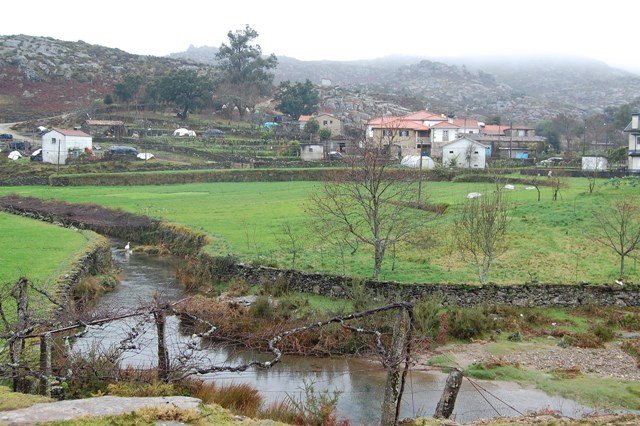 [Primeiras+0057342.jpg]