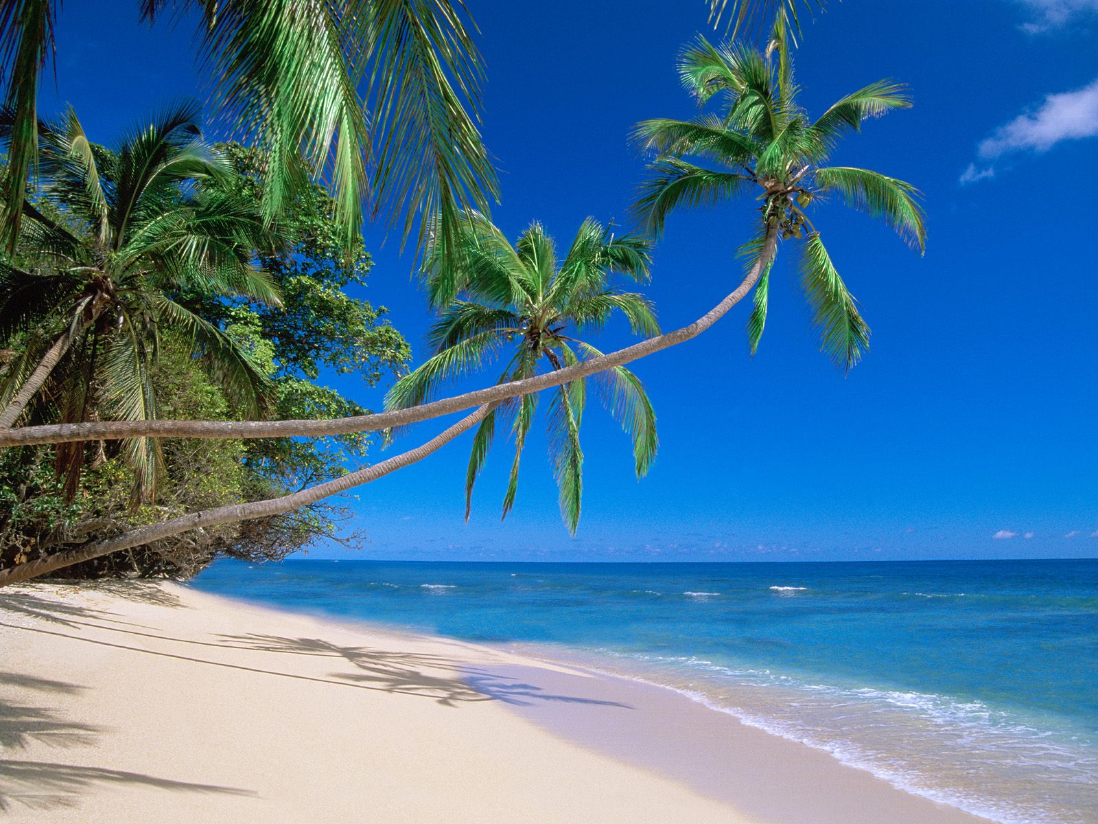 http://4.bp.blogspot.com/_VGf0Bg7vRrk/TDIYWwrgZUI/AAAAAAAABAo/1TFoHNL5zl0/s1600/Fiji.01.jpg