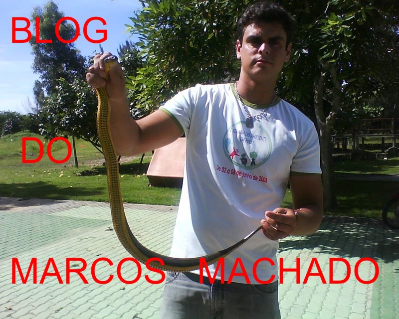 Blog do Marcos Machado